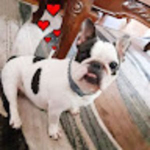 Meet your Posher, Russell